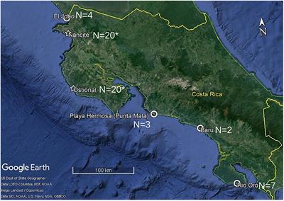 Delineating and characterizing critical habitat for the Eastern Pacific olive ridley turtle (Lepidochelys olivacea): Individual differences in migratory routes present challenges for conservation measures